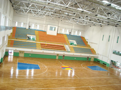 實木運(yùn)動地板,運(yùn)動地板價格 實木運(yùn)動地板,運(yùn)動地板價格