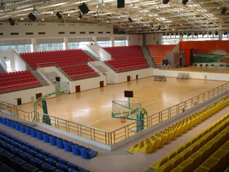 實木運(yùn)動地板,實木運(yùn)動地板品質(zhì)決定價格 實木運(yùn)動地板,實木運(yùn)動地板品質(zhì)決定價格