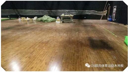 ������ꖅ^(q��)׷��Ӯ�Ӱ�����_ľ�ذ�ɹ�����