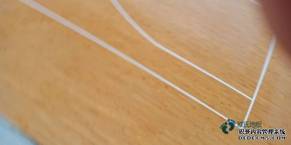 楓木籃球場木地板品牌